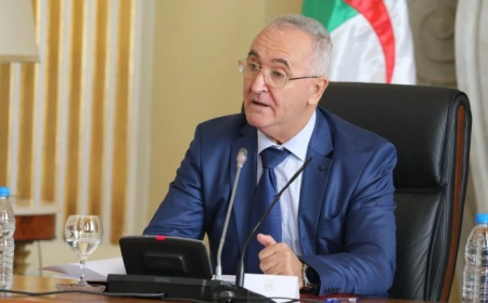 وزير المالية " لعزيز فايد" :  نسعى إلى دمج الصيرفة الإسلامية بالتكنولوجيات الرقمية