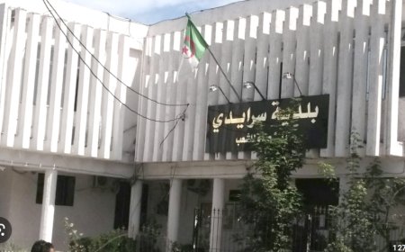 بلدية سرايدي تستفيد من أكثر من 279 وحدة سكنية جديدة في إطار السكن الريفي    