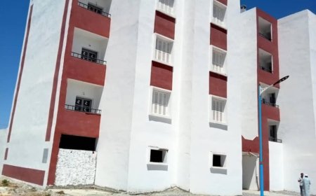 أوبيجيي عنابة تعاين أهم المشاريع السكنية بالولاية