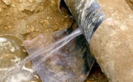 "شاهد ماشافش حاجة" بالبوني 