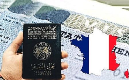  فرنسا تخفض عدد تأشيرات شنغن بـ 50% للجزائريين