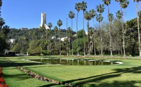 الجزائر الثانية عربيا في مؤشر “الحفاظ على الطبيعة”