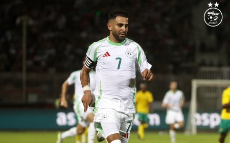 نغيز: اسم محرز وحده يرعب الخصوم وعلينا احترام ما قدمه للمنتخب