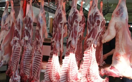 استيراد اللحوم الحمراء والبيضاء: الإبقاء على نفس الامتيازات الجمركية والضريبية في 2025