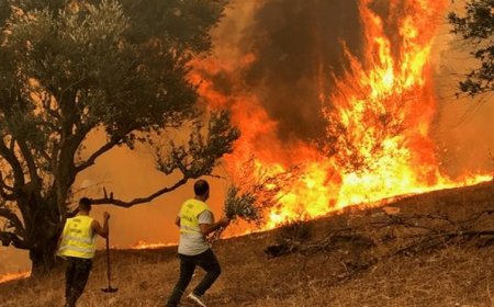 كهل يتسبّب في إتلاف عدّة محاصيل في العلمة