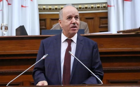 وزير الصحة: تم القضاء على حالات الديفتيريا التي سجلت مؤخرا بجنوب البلاد