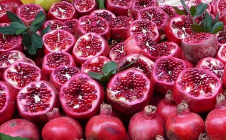 "الرمان" يغزو السوق الصينية 