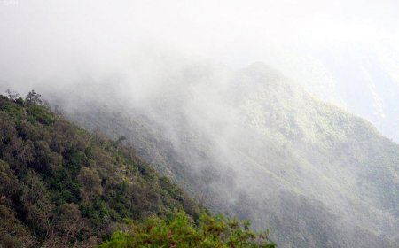 إجلاء ثلاثة شباب تاهوا بجبال حيدوسة جراء الضباب الكثيف بباتنة