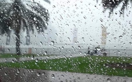 أمطار رعدية على العديد من ولايات الوطن