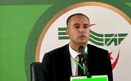 نجاحات كبيرة في ملف مزدوجي الجنسية تحسب للفاف وصادي