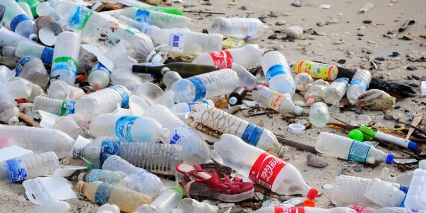 عنابة: انتشار ظاهرة الجمع العشوائي للنفايات البلاستيكية  