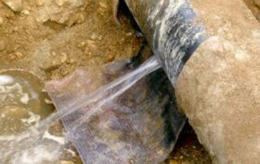 "شاهد ماشافش حاجة" بالبوني 