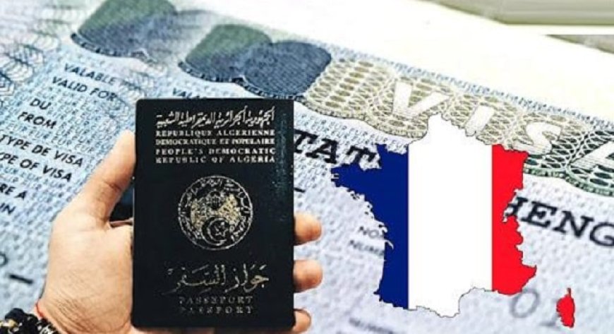  فرنسا تخفض عدد تأشيرات شنغن بـ 50% للجزائريين