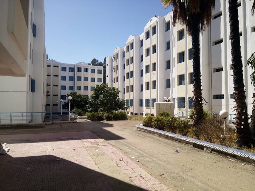 زيارة لجنة وزارية لتفقد قطاع الخدمات الجامعية بسيدي عمار