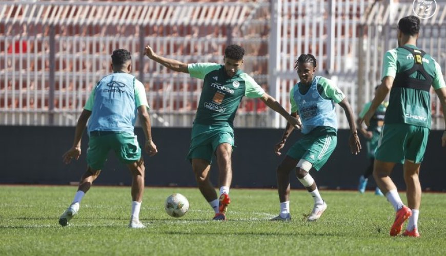 اليوم بداية من الساعة 17:00  توغو – الجزائر:  الخضر من اجل حسم بطاقة "الكان" في "لومي"