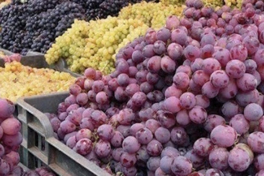 صندوق العنب ب500 دج