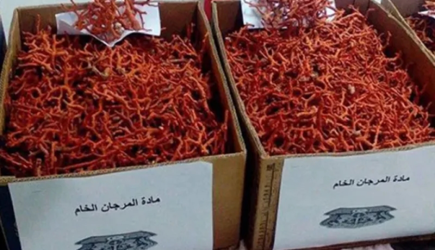 حجز قرابة 19 كلغ من المرجان بالبوني 