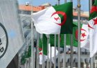 صندوق النقد الدولي يتوقع بلوغ الناتج المحلي الإجمالي للجزائر 317 مليار دولار في 2026