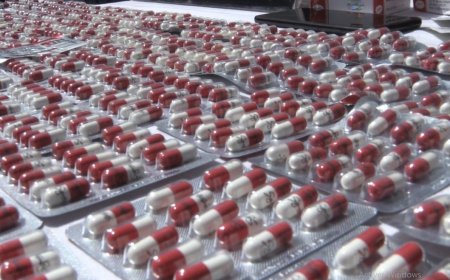 إحباط محاولة لنقل 2700 قرص مهلوس وتوقيف شخصين في بلدية الحمامات بتبسة