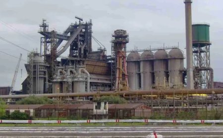 الغازات المنبعثة من مصنع الحجار و "فرتيال" على طاولة وزيرة البيئة