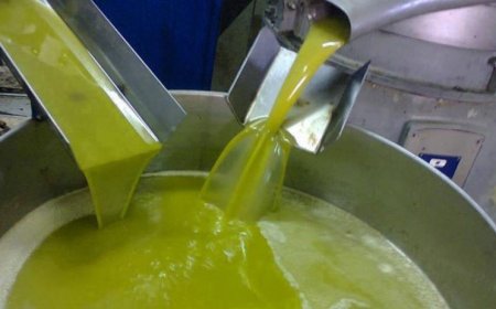 أصحاب المعاصر بجيجل يتوقعون ارتفاعا كبيرا في أسعار زيت الزيتون 