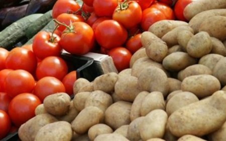 الطماطم ب 300 دج للكيلوغرام لاول مرة بأسواق عنابة