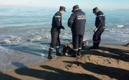 عنابة: انتشال جثة مجهولة الهوية في حالة متعفنة بشاطئ الخروبة   
