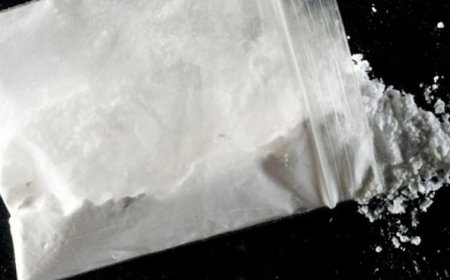  7 سنوات  لمغترب حاول ادخال  كميّة من "الكوكايين عبر مطار رابح بيطاط