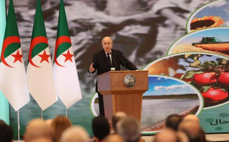 رئيس الجمهورية: سنطوي ملف العقار الفلاحي نهائيا سنة 2025