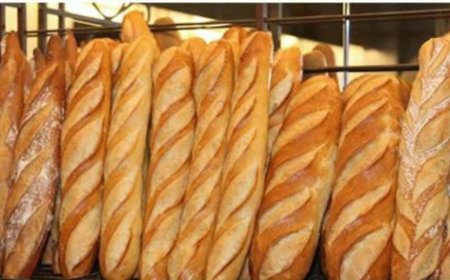 عنابة: الخبز العادي مفقود بالمخابز والمواطنون في رحلة بحث