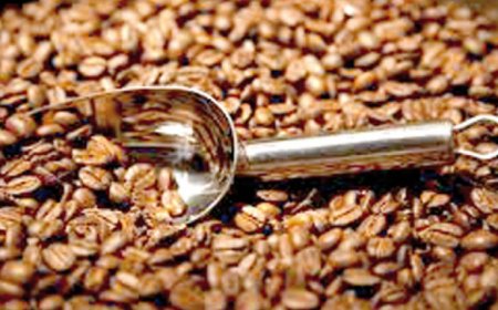 وفرة  في مادة القهوة  بالفضاءات التجارية الكبرى والمحلات بعنابة