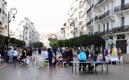 بلدية الجزائر الوسطى تنظم تظاهرة "يوم بدون سيارات" طيلة هذا الجمعة