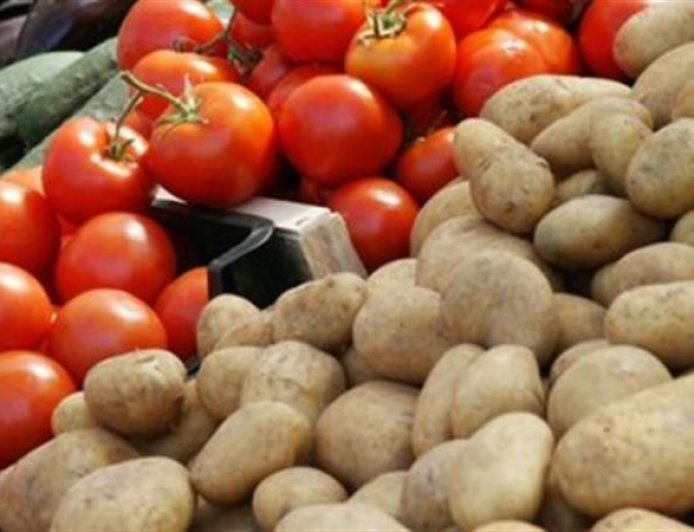 ألف هكتار فقط لزراعة الطماطم الصناعية بعنابة للموسم الجاري 