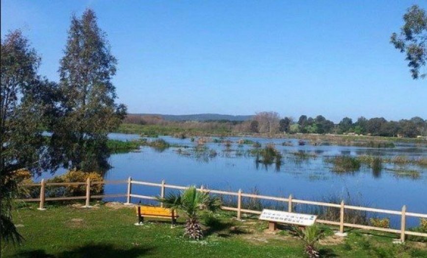 مشروع إنجاز حديقة عمومية على ضفاف المحمية الدولية بالطارف