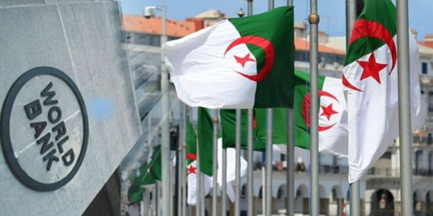 صندوق النقد الدولي يتوقع بلوغ الناتج المحلي الإجمالي للجزائر 317 مليار دولار في 2026