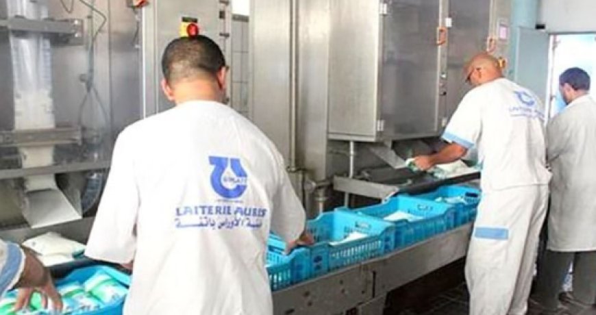 دخول وحدة لإنتاج الحليب تابعة لمجمع "جيبلي" حيز الخدمة