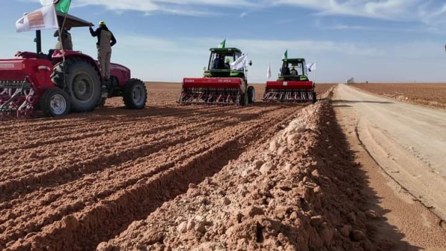 تسطير زراعة أكثر من 15000هكتار من الحبوب في عنابة 