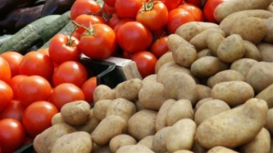 الطماطم ب 300 دج للكيلوغرام لاول مرة بأسواق عنابة