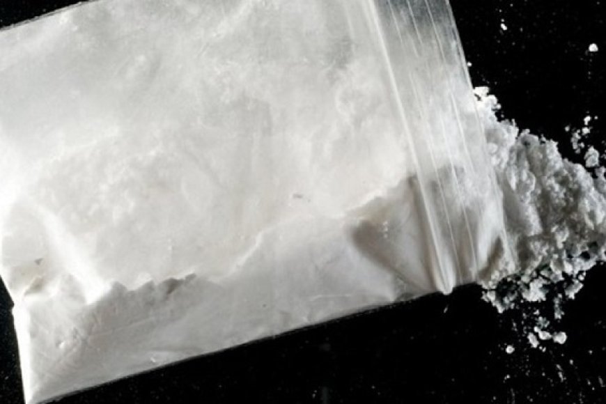  7 سنوات  لمغترب حاول ادخال  كميّة من "الكوكايين عبر مطار رابح بيطاط