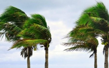 رياح قوية تجتاح شرق البلاد والأرصاد الجوية تدعو للحذر