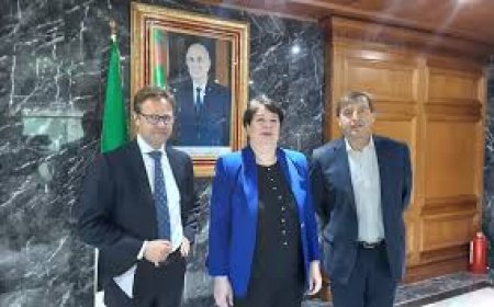 ايتكس" البلجيكية لاستغلال الموارد المنجمية تبدي استعدادها للاستثمار بالجزائر