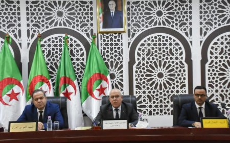 إتفاقات تعاون "مرتقبة" بين بنك "بدر" و المستثمرين لإنتاج أسماك المياه العذبة