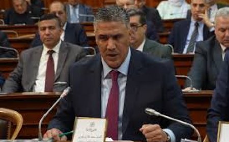 إنشاء قرابة 28 ألف تجزئة اجتماعية في 2025