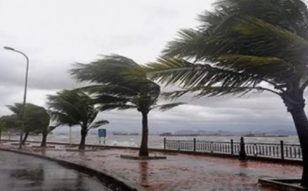 هبوب رياح قوية بعدة ولايات: تسجيل 530 تدخلا منذ 27 يناير