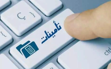 نحو رقمنة شهادة تأمين السيارات