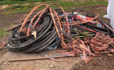 تفشي ظاهرة سرقة كوابل الإنترنت  بحي شعيبة تثير استياء السكان