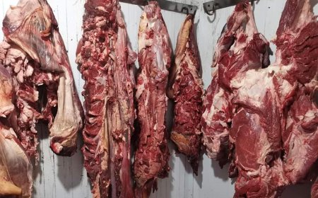 مصالح التجارة تحجز ازيد من قنطارين لحموم مستوردة ومحلية بعين مليلة