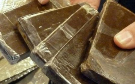  أقبو ببجاية تحجز قرابة 01 كلغ من الكيف المعالج 