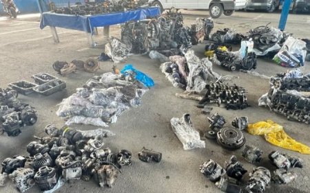 حجز 10قناطير أمعاء بميناء سكيكدة قادمة من مرسيليا