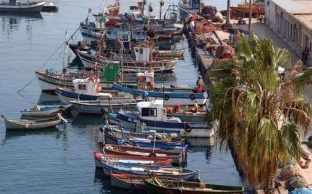 حلول وفد من وزارة الصيد وخبراء برنامج الاقتصاد الازرق  بعنابة  